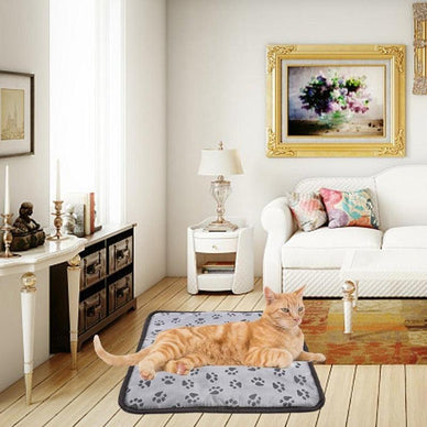 "Transform Chilly Nights into Cozy Comfort"