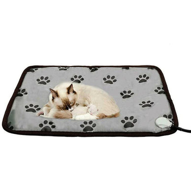 "Transform Chilly Nights into Cozy Comfort"