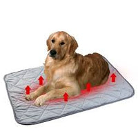 Pet Heating Pad For Dog Cat Heat Mat Indoor Electric Waterproof Dog